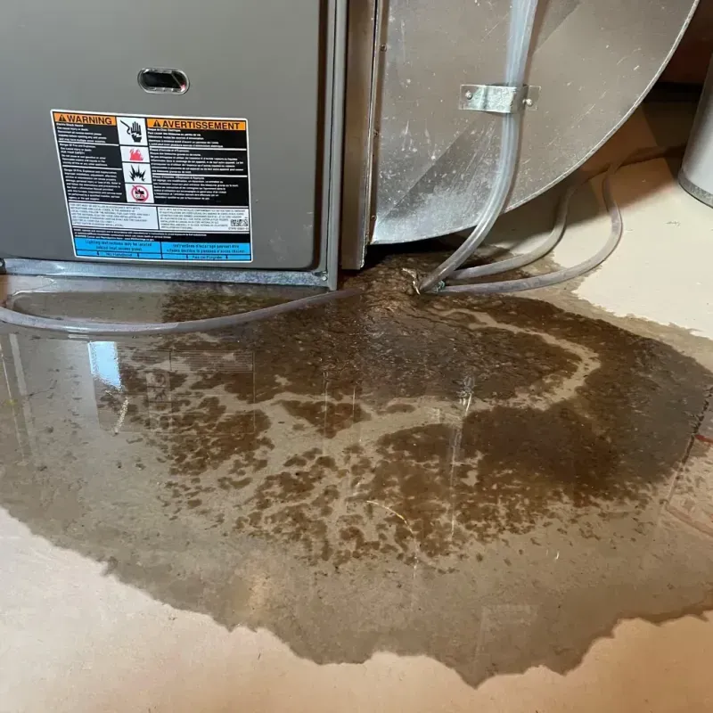 Appliance Leak Cleanup in Ohio County, WV